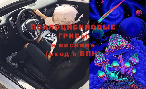 гашик Бородино