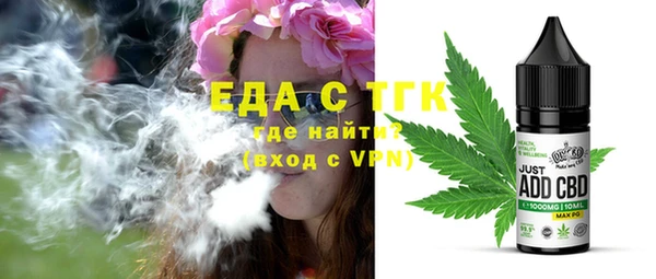 гашик Бородино