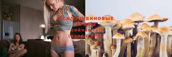 ГАЛЛЮЦИНОГЕННЫЕ ГРИБЫ Бугульма