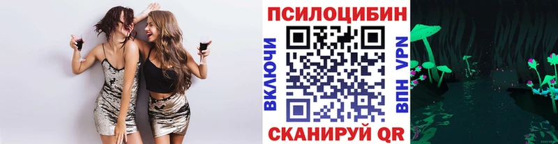 где купить   МЕГА вход  Псилоцибиновые грибы MAGIC MUSHROOMS  Сретенск 